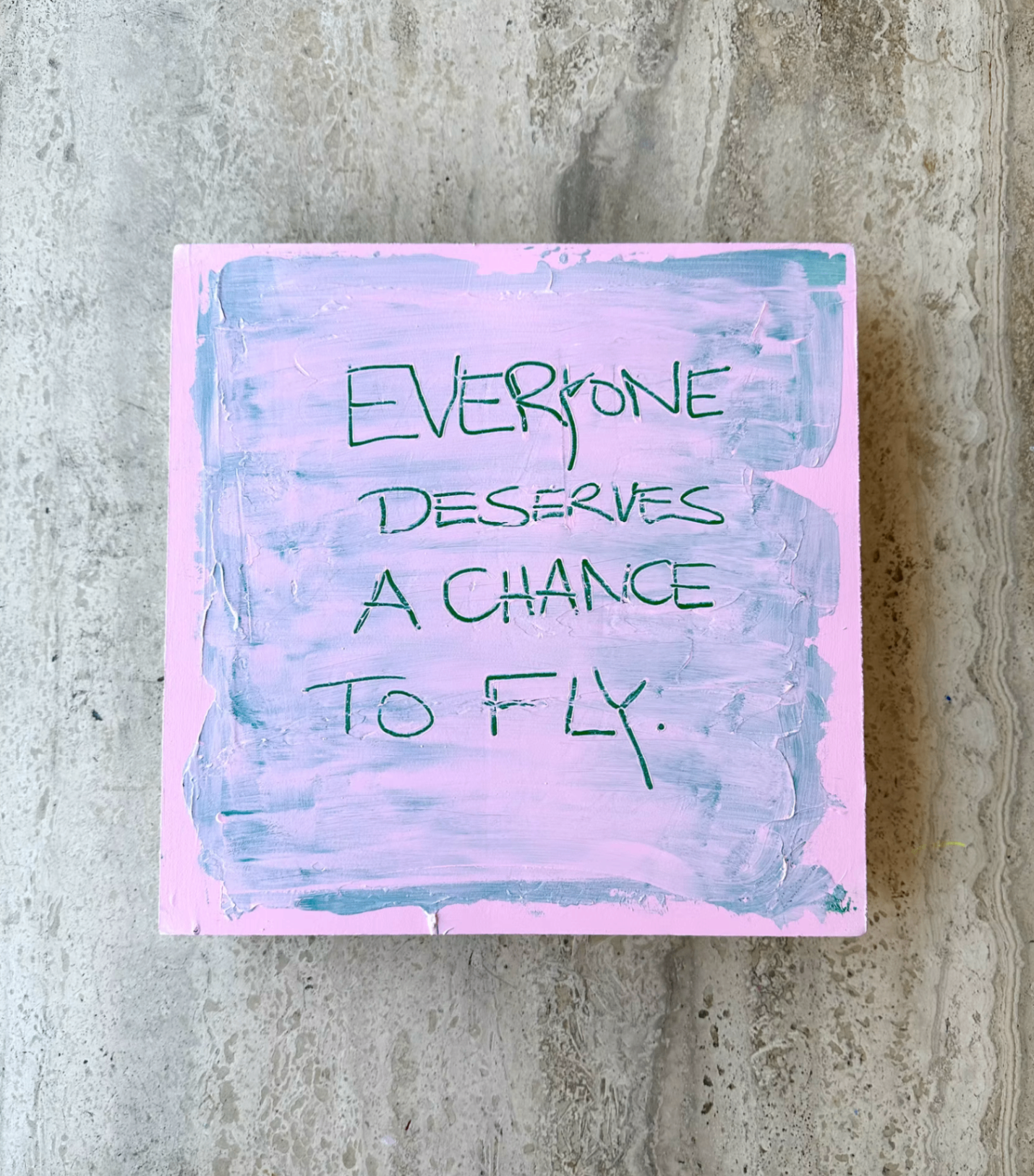 EVERYONE DESERVES A CHANCE TO FLY.